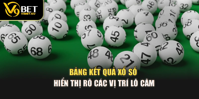 Bảng kết quả xổ số hiển thị rõ các vị trí lô câm