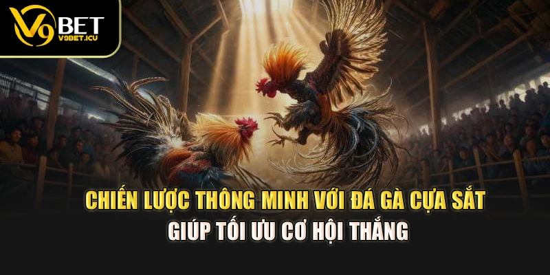 Chiến lược thông minh với đá gà cựa sắt giúp tối ưu cơ hội thắng