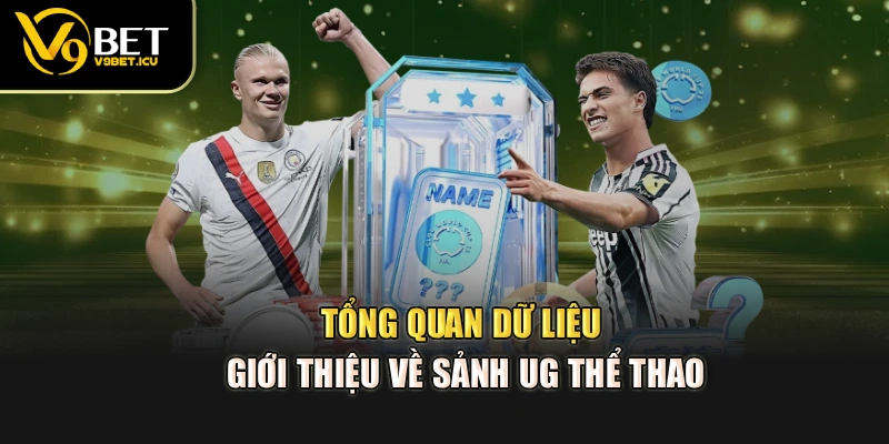 Tổng quan dữ liệu giới thiệu về sảnh UG thể thao